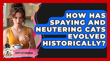 How Has Spaying And Neutering Cats Evolved Historically? - Happy Cat Handbook