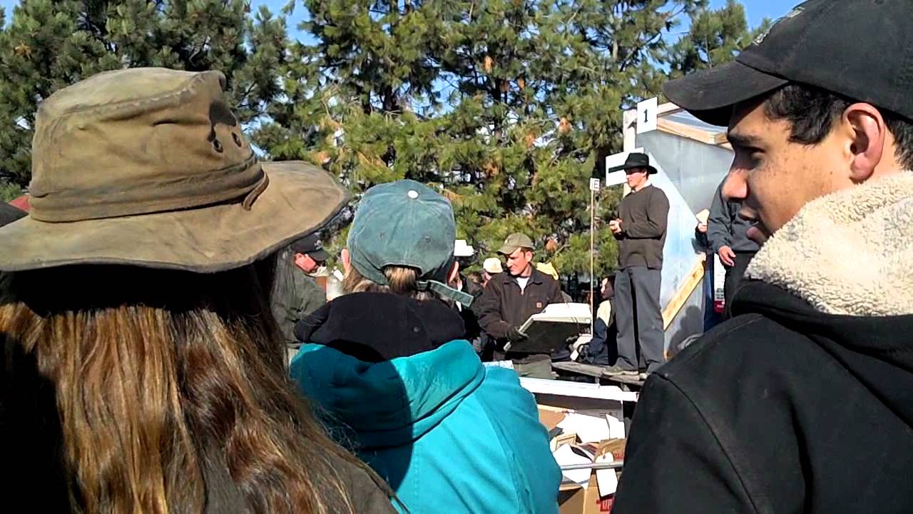 Creston Auction.mp4 YouTube