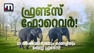 ഫ്രണ്ട്സ് ഫോറെവർ! 55 വർഷമായി ഭാമയും കാമാച്ചിയും ബെസ്റ്റ് ഫ്രണ്ട്സ്! | Elephants | Muthumala