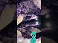 Mira Lo Que Esconden Estas Rocas 😍 #Curiosidades #Geodas #Minerales