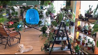 House Plant Nursery Tour! Go Plant Shopping With Me! #1