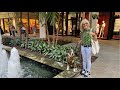 MIAMI LIVE Exploring Bal Harbor Shops & Beach February 19, 2022