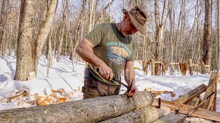 Growing Shiitake Mushrooms and Tapping Maple Trees, Spring 2021