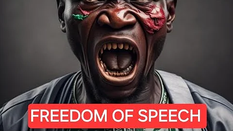 Nigerian Government and the Abuse of Fundamental Human Rights (Freedom of Speech and Expression)