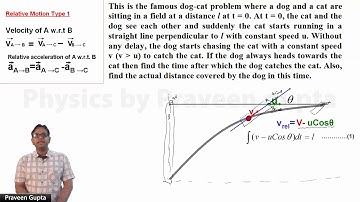 RM 9 Dog Cat Problem in Relative motion