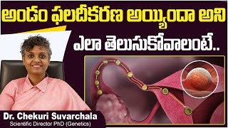 అండం ఫలదీకరణ | How Do You Know If An Egg is Fertilized | Dr Chekuri Suvarchala | Ziva Fertility screenshot 4