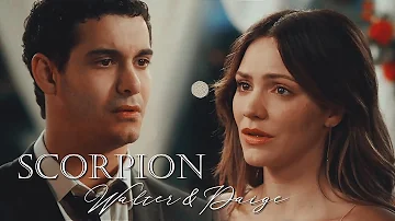 Scorpion | Walter & Paige [s1-s3]