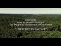 Une forêt en partage