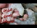 أسهل طريقة لتنضيف الجمبري و إزاي افرق بين الجمبري البلدي والمزارع بكل سهولة 