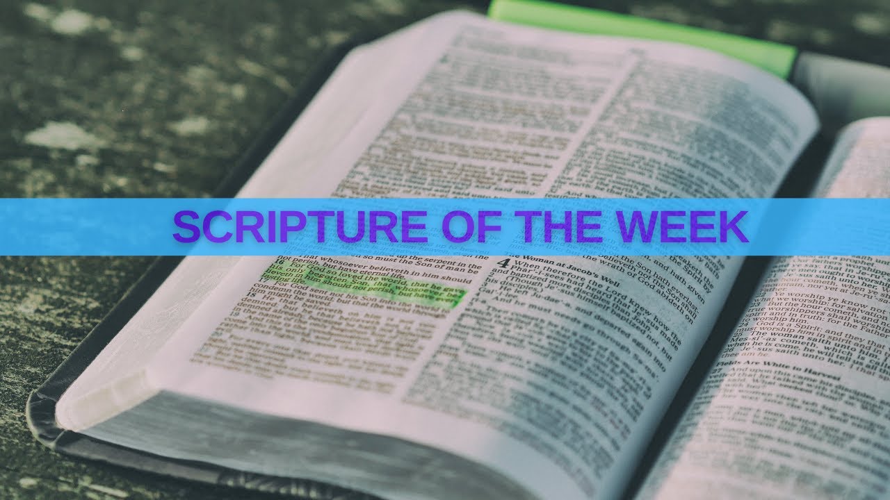 Scripture of The Week