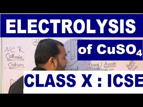 ElectrolySis Of Copper Sulphate Using Inert and Copper Electrode I Electrolysis class 10 ICSE |