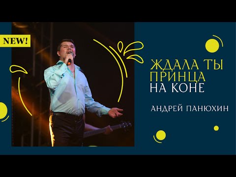 АНДРЕЙ ПАНЮХИН - ЖДАЛА ТЫ ПРИНЦА НА КОНЕ