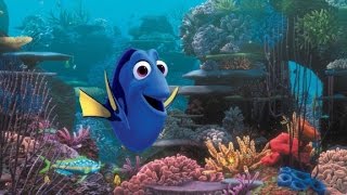 Sure, Find Dory. Just don't buy her