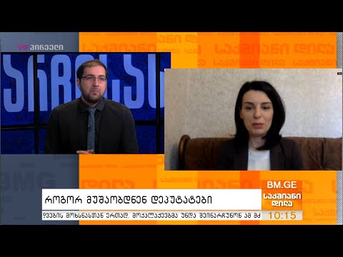 როგორ მუშაობდნენ დეპუტატები?