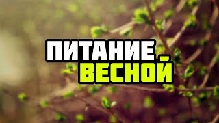 видео Правильное питание весной