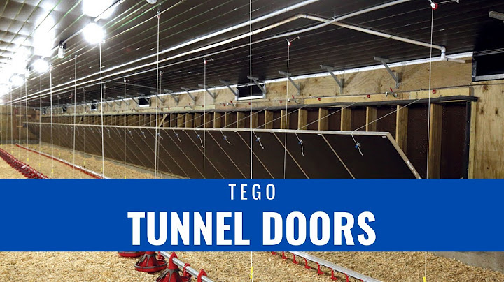 Tego Tunnel Doors