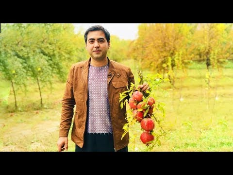 مهمان یار- سفر به ولایت زیبای قندهار / Mehmane Yaar - Season 07 - Episode 04