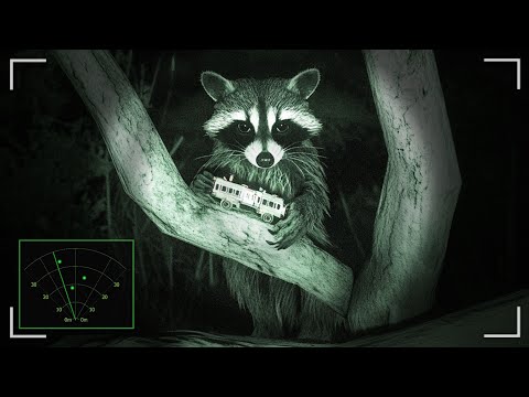 생태공원에서 라쿤들의 사진을 찍는 공포게임 (Raccoon on a boat)