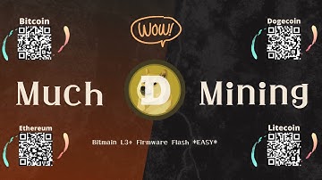 Bitmain Antminer L3+ Firmware Flash *EASY!* - Failed Signature Check & HiveOS Included