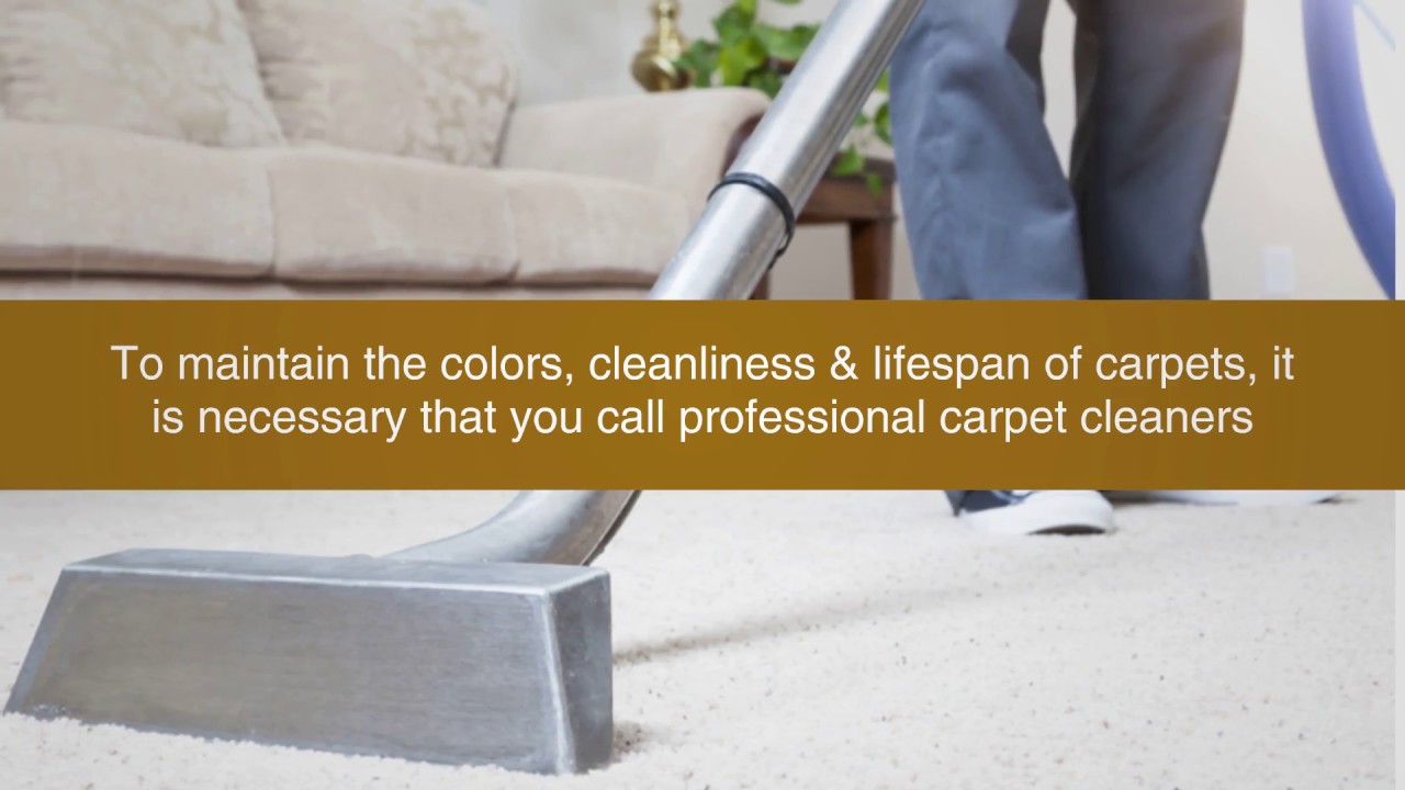 Carpet Cleaning Professional Carpet Cleaning vs DIY YouTube