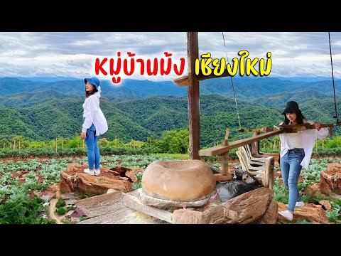 มาเที่ยวบ้านน้ำซุ้ม ดูวิถีชีวิตคนม้งในเชียงใหม่ : ชุมชนโครงการหลวง