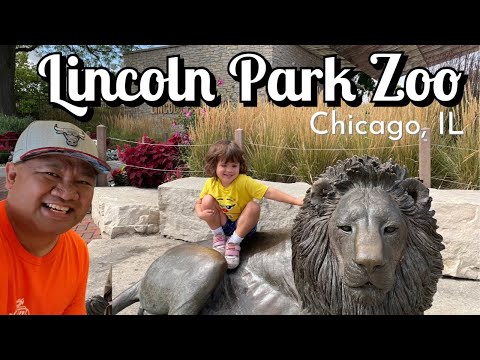 Video: Una guida per i visitatori allo zoo di Lincoln Park