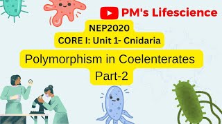 Polymorphism in Coelenterates Part-2, #nep2020 #zoology #graduation