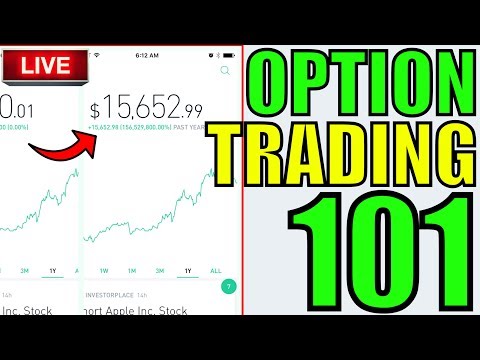 What are Options: Calls + Puts?