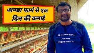 Layer Poultry Business | अण्डा फ़ार्म।