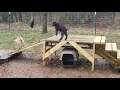 Goat babies playing on their new playground! They are 9 days old! #cutenessoverload #babies