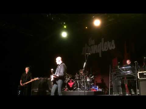 The Stranglers Golden Brown - live à Chambray-Les-Tours le 30 novembre 2017!