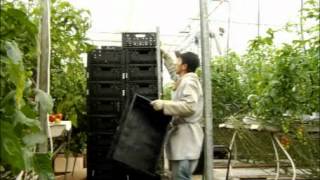 IFCO Tesimonial: Houweling