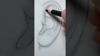 رسم الاذن بالرصاص وتظليلها بطريقة واقعية وسهلة 