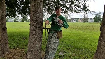 Predator Platform Install