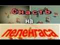 снасть на пеленгаса , просто и быстро