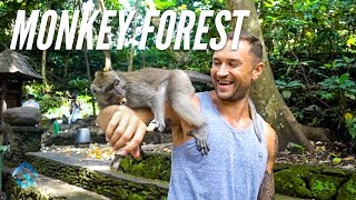 The Crazy UBud Monkey Forest and our Epic Bali Villa The Crazy UBud Monkey Forest and our Epic Bali Villa