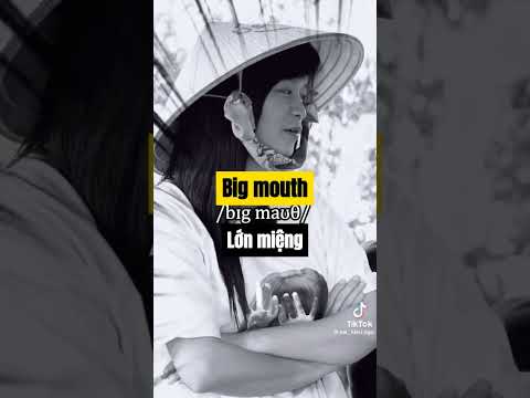 Video BIG MOUTH trong tiếng Anh có nghĩa là gì? - youtube