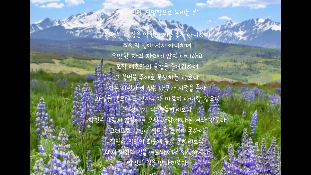 커넥트교회 한국어 예배 (2026.5.31)