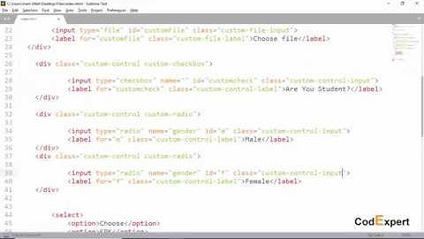 19 Custom Forms in Bootstrap 4 in Urdu/Hindi