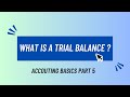 What is a Trial Balance | ACCOUNTING BASICS PART 5