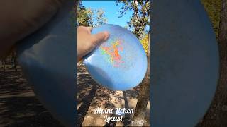Flying Memories. #discgolf #agldiscs #teamagl #teeboxsox #bergsbags #sports