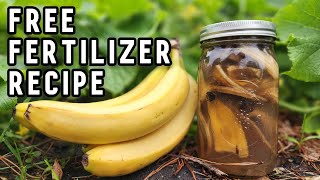 How to Make Banana Peel Fertilizer Water for Plants
