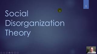 Top 20 social disorganization theory definition