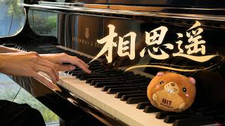《相思遙》七夕鋼琴版 Distant Longing piano cover