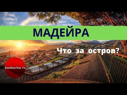 МАДЕЙРА. Что за остров? Как добраться? Фуншал - столица Мадейры