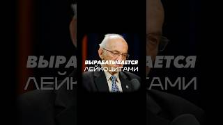 ТРАНСФЕРФАКТОР - Профессор Дадали на подкасте Глеба Соломина
