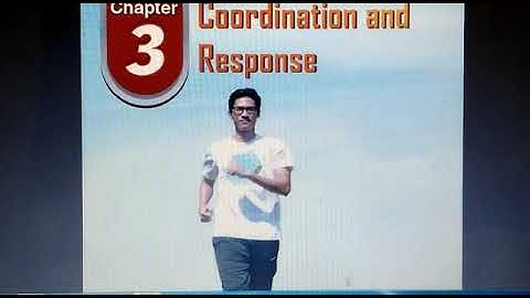 COORDINATION and RESPONSE