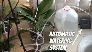 RAINPOINT Automatic Watering System for Potted Plants Review