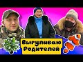 РОДИТЕЛИ ВЫШЛИ В ЛЮДИ СПУСТЯ ПОЛГОДА. МАМА В ЦВЕТОЧНОМ РАЮ, ПАПА В РЫБНОМ.