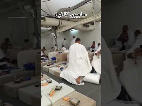 Mina Camp Hajj 2025 Hajj Mina